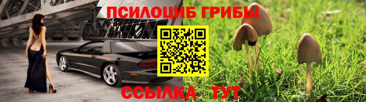 Дивногорск  Галлюциногенные грибы GOLDEN TEACHER  Вход с VPN  Галлюциногенные грибы прущие грибы 